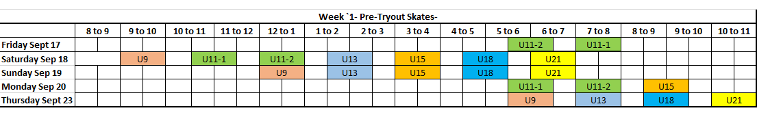 Pre-Tryout_Skates_2.png